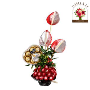MINI RUBI FERRERO
